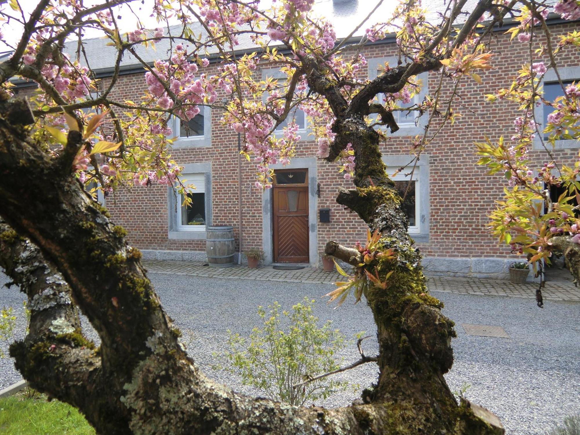 B&B Au Coeur De Villers Dış mekan fotoğraf
