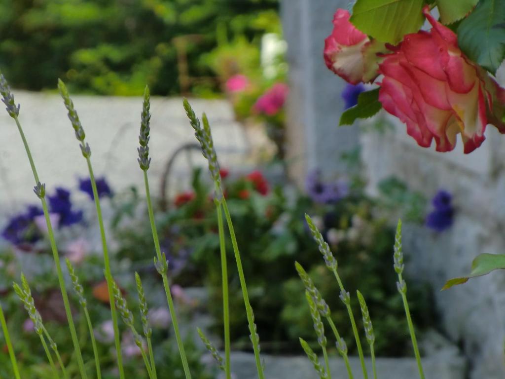 B&B Au Coeur De Villers Dış mekan fotoğraf